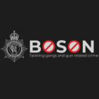 Boson logo