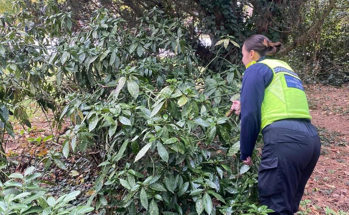 Weapons sweep in park