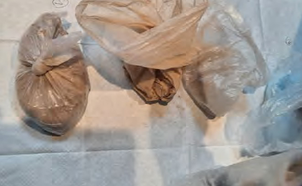 Drugs seized