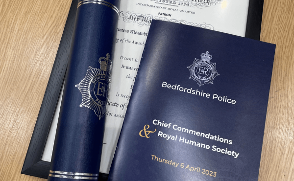 Awards brochure and scroll