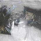Seized cannabis