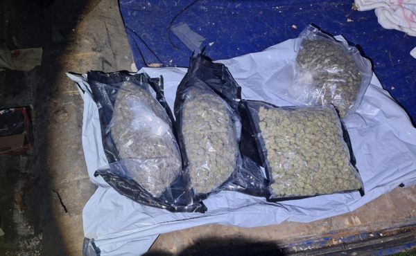 Drugs Seized