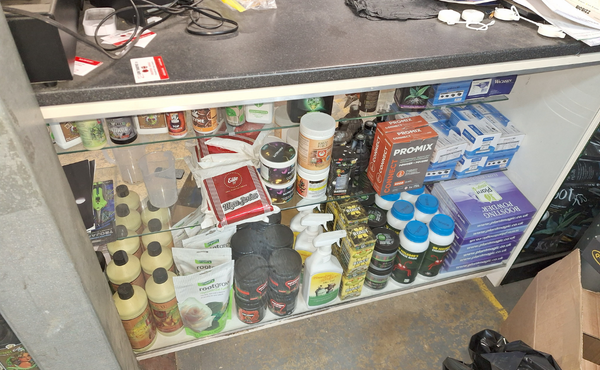 Cannabis Warrant