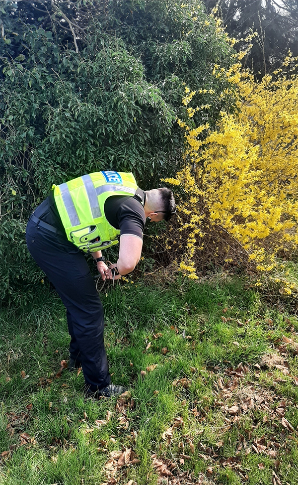 Weapons sweep
